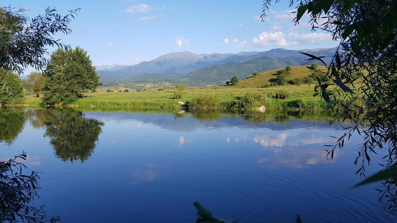 Villa Casuta Din Rusca Sebesu de Jos Esterno foto