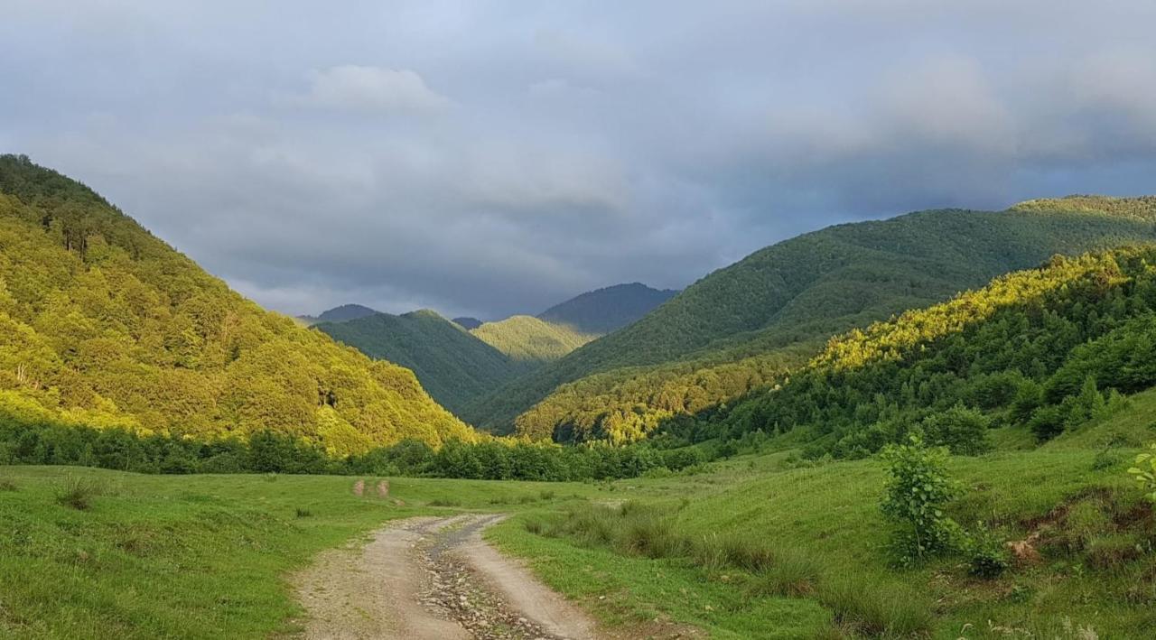 Villa Casuta Din Rusca Sebesu de Jos Esterno foto