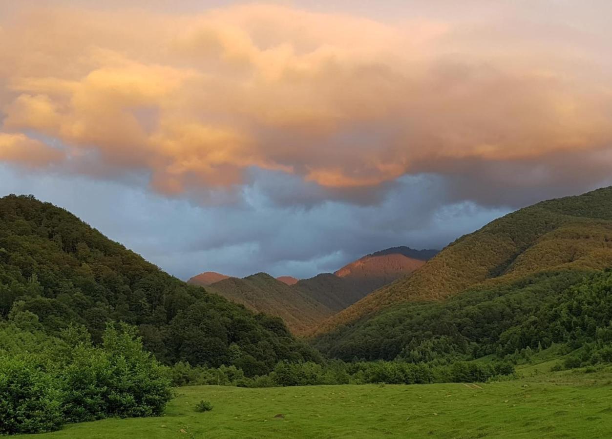 Villa Casuta Din Rusca Sebesu de Jos Esterno foto
