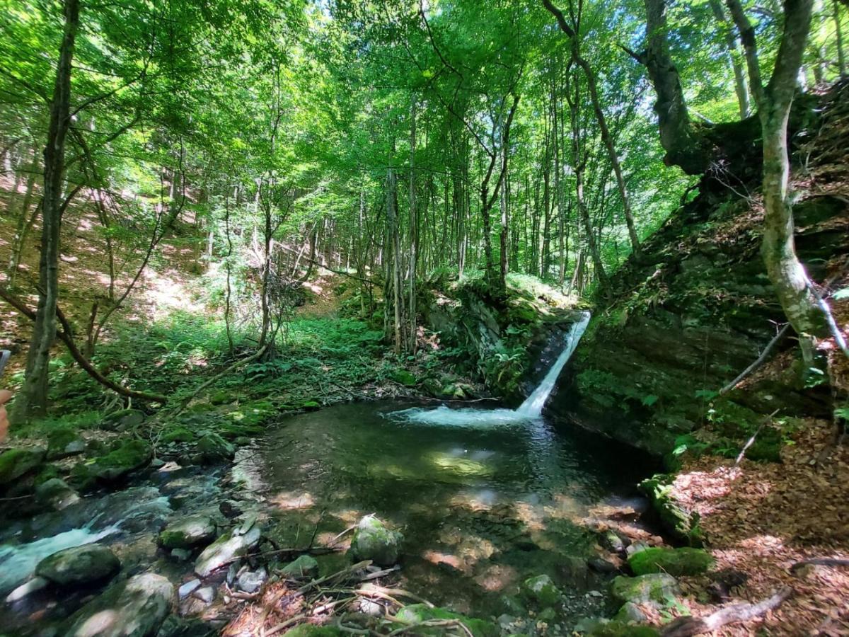 Villa Casuta Din Rusca Sebesu de Jos Esterno foto