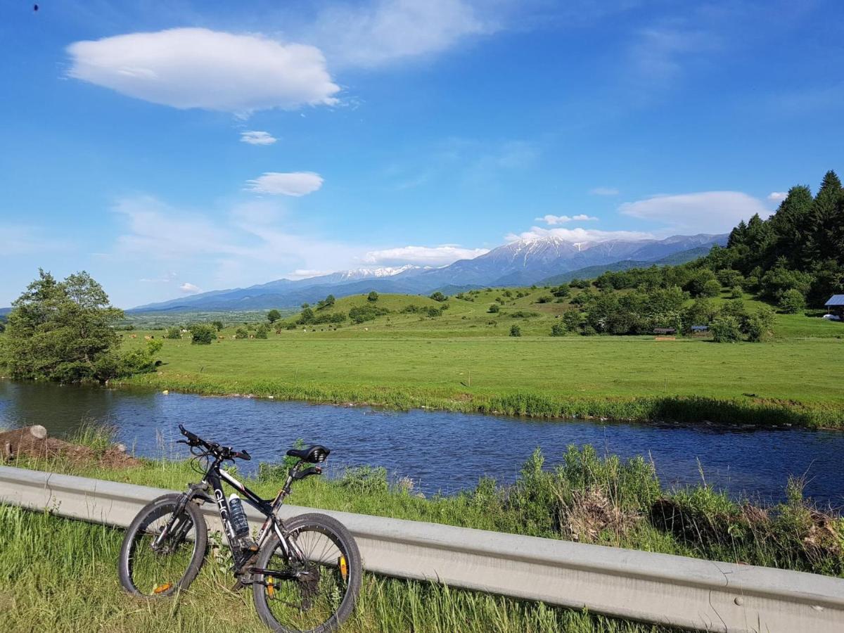 Villa Casuta Din Rusca Sebesu de Jos Esterno foto