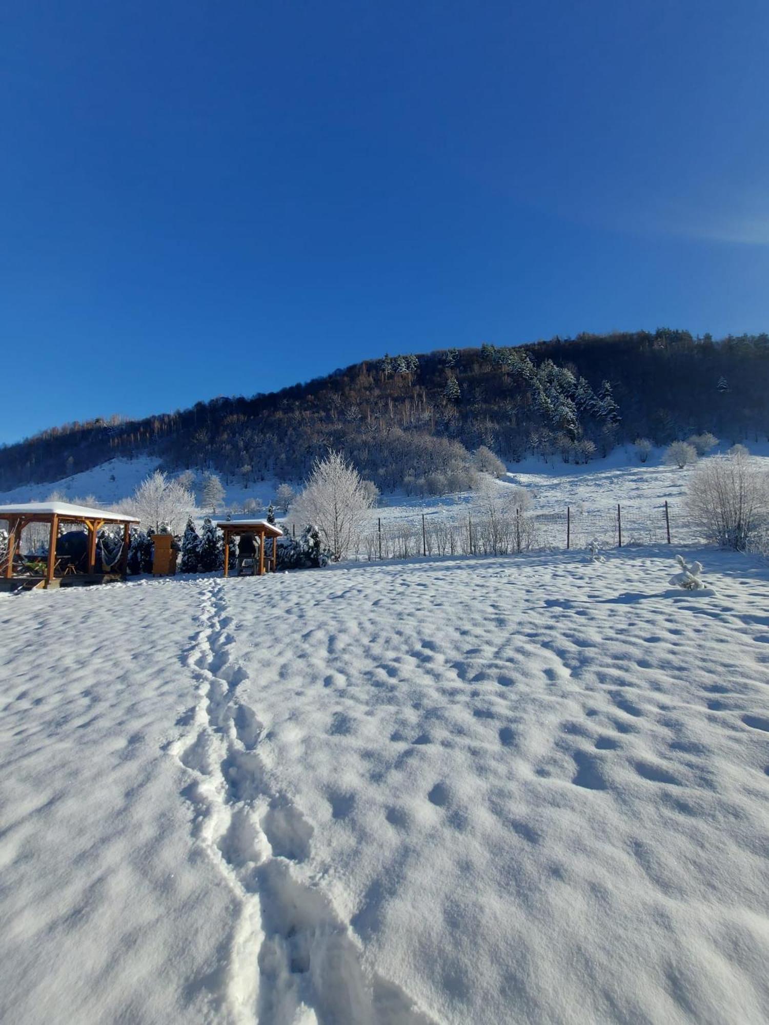 Villa Casuta Din Rusca Sebesu de Jos Esterno foto